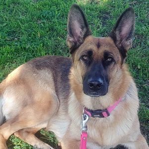 Meet your Posher, Deanna